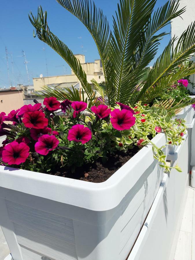 Apartament Attico Con Terrazza A Bari Zewnętrze zdjęcie